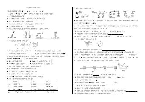 陕西省中考化学副题卷(一)
