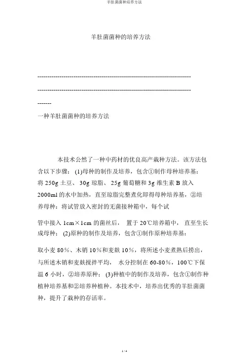 羊肚菌菌种培育方法