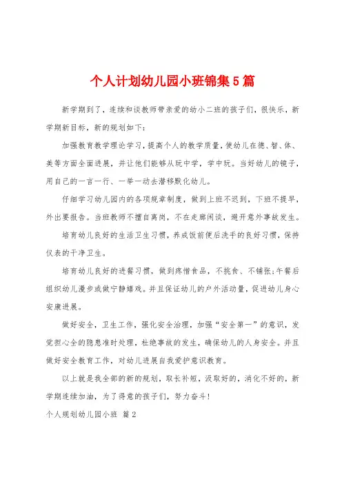 个人计划幼儿园小班5篇