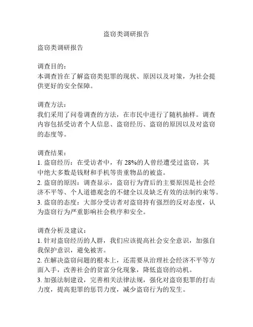 盗窃类调研报告