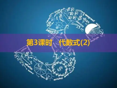 第3课时 代数式(2)