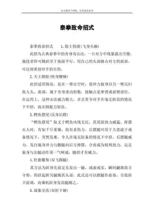 泰拳致命招式