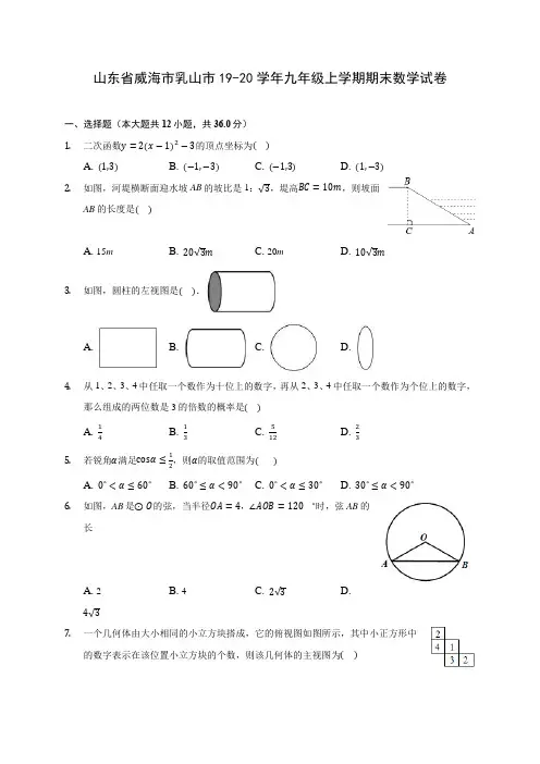 山东省威海市乳山市19-20学年九年级上学期期末数学试卷及答案解析