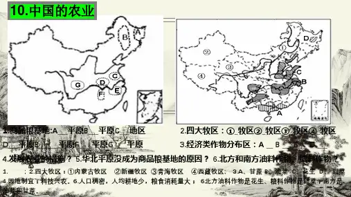 中国的交通运输业(第1课时)八年级地理上册课件(完整版)