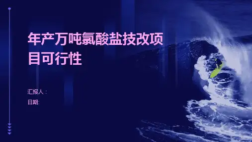 年产万吨氯酸盐技改项目可行性
