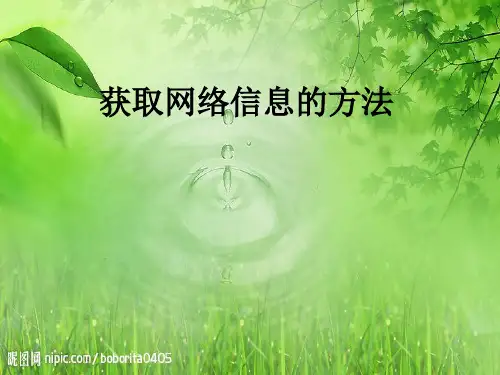 获取网络信息的方法ppt课件