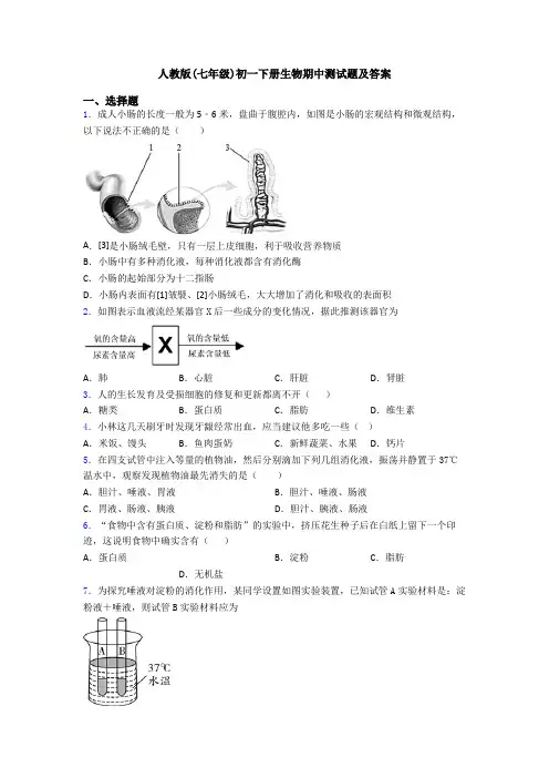 人教版(七年级)初一下册生物期中测试题及答案