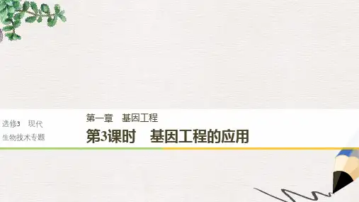 高中生物第一章基因工程第3课时基因工程的应用课件浙科版选修3