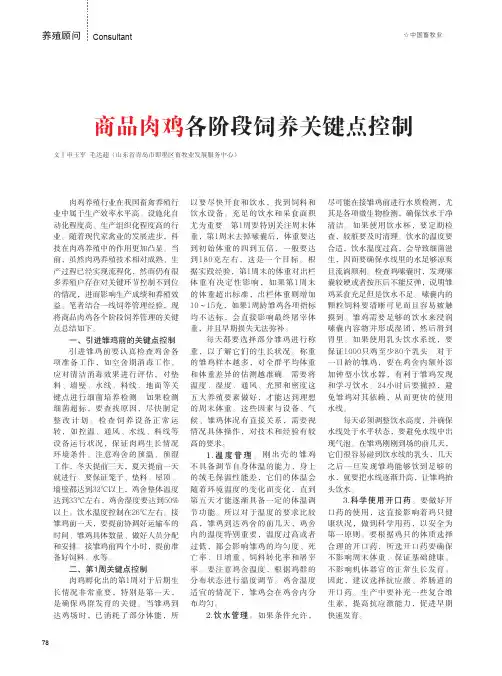 商品肉鸡各阶段饲养关键点控制