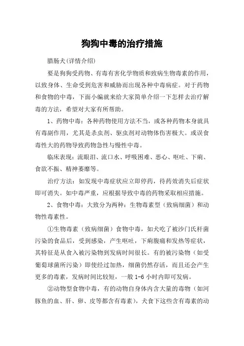 狗狗中毒的治疗措施