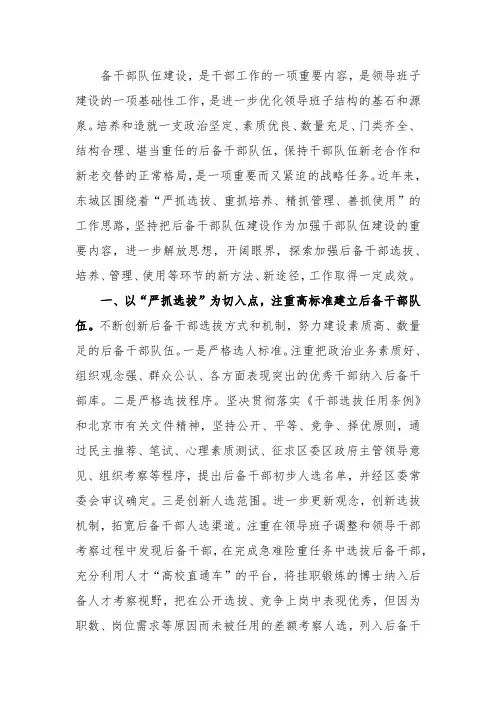 后备干部队伍建设