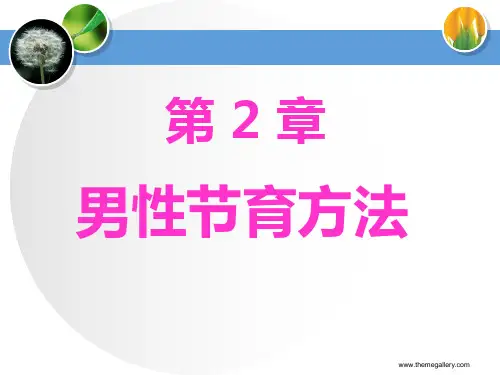 男性节育方法演示课件