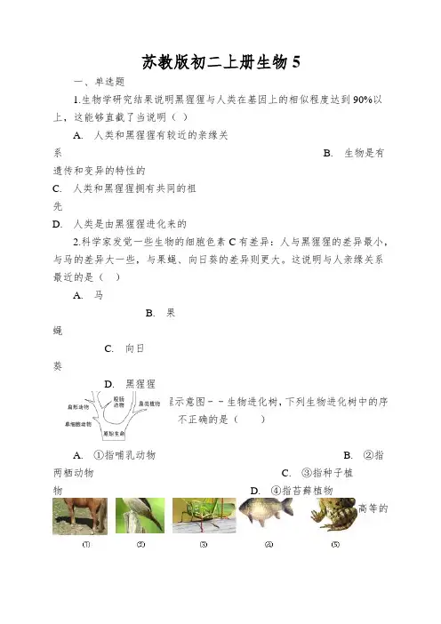 苏教版初二上册生物生命进化的历程同步测试(解析版)