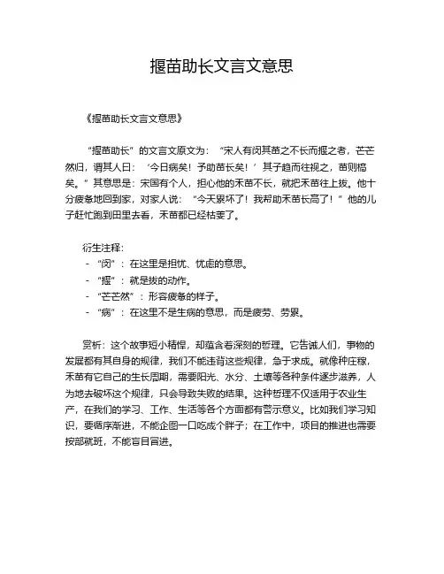 揠苗助长文言文意思