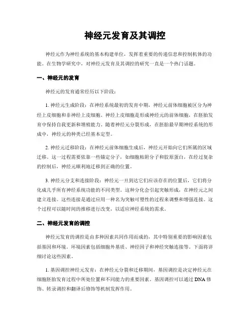 神经元发育及其调控