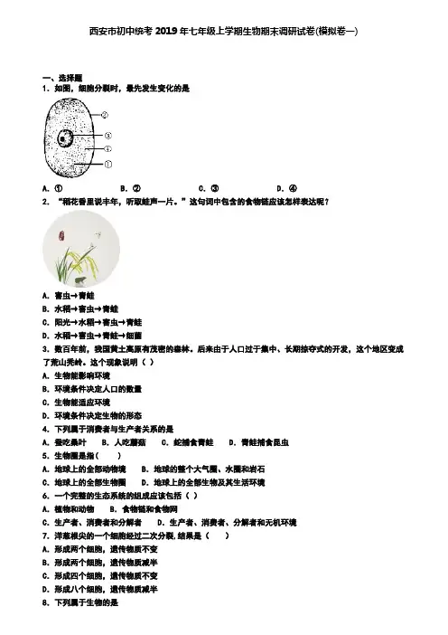 西安市初中统考2019年七年级上学期生物期末调研试卷(模拟卷一)