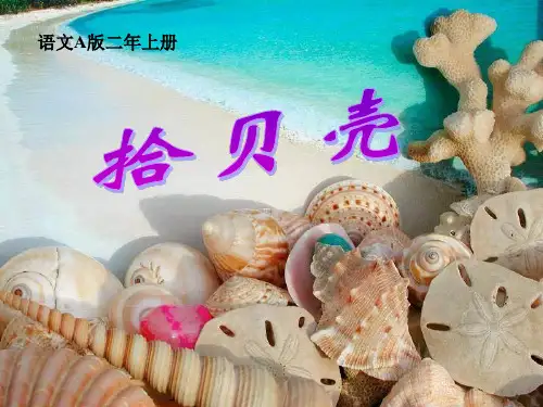 二年级上册语文课件《拾贝壳》｜语文A版 (共26张PPT)