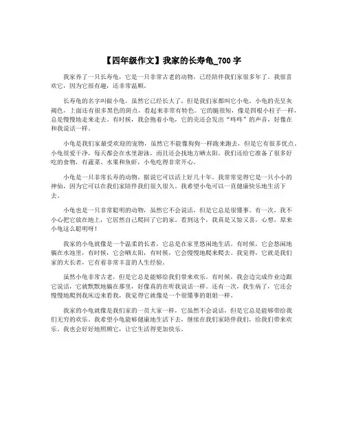【四年级作文】我家的长寿龟_700字