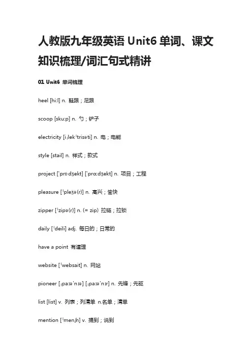人教版九年级英语Unit6单词、课文知识梳理,词汇句式精讲