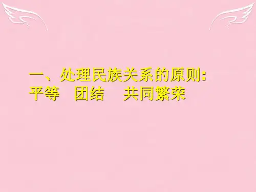 处理民族关系的原则