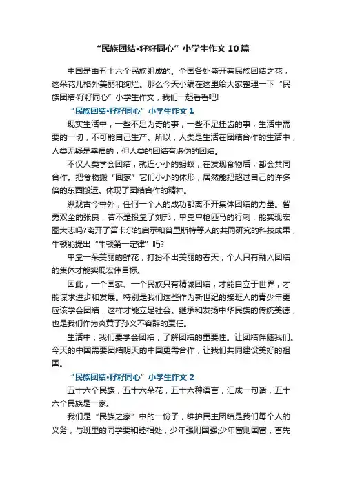“民族团结·籽籽同心”小学生作文10篇范文