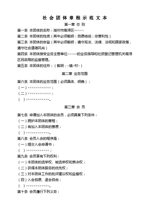 村级 社会团体章程示范文本