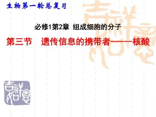 高考生物一轮复习课件：遗传信息的携带者 核酸 (共30张PPT)