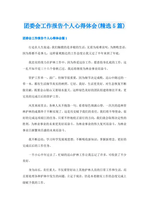 团委会工作报告个人心得体会(精选5篇)