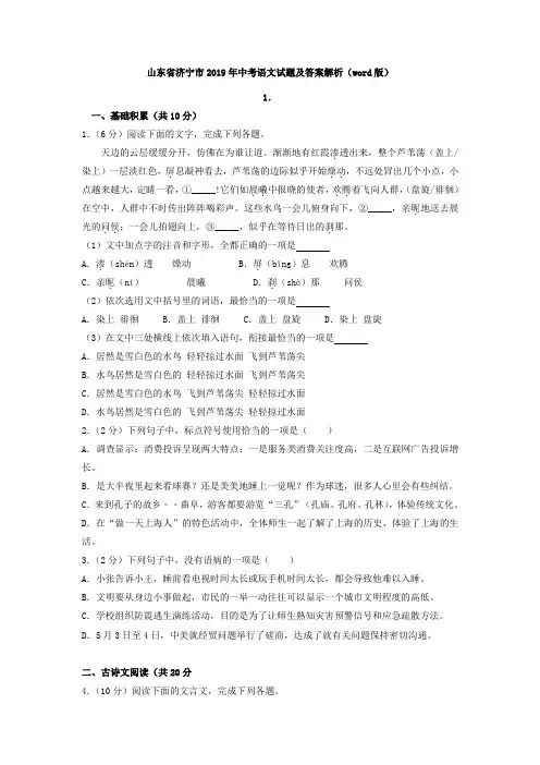 山东省济宁市2019年中考语文试题及答案解析(word版)