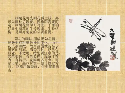 菊花画法课件