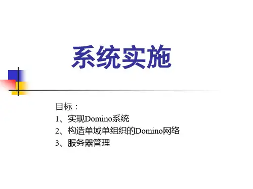 Domino系统实施