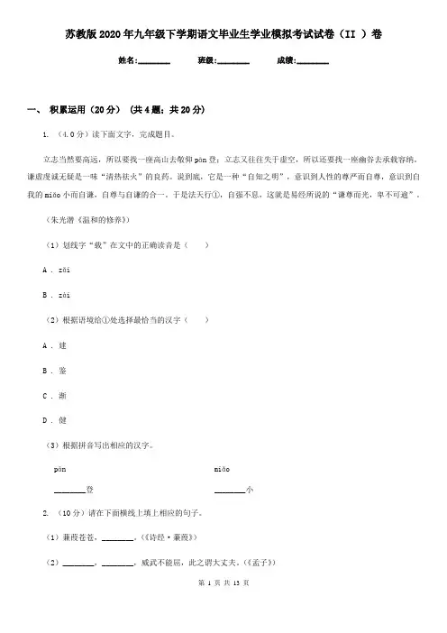 苏教版2020年九年级下学期语文毕业生学业模拟考试试卷(II )卷