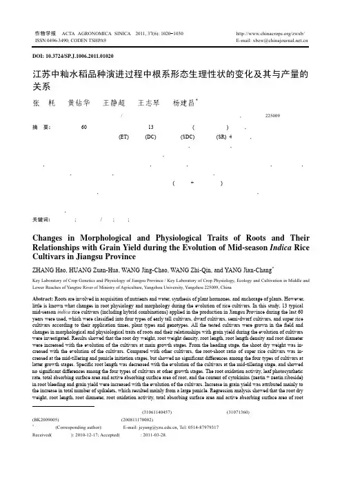 江苏中籼水稻品种演进过程中根系形态生理性状的变化及其与产量的关系