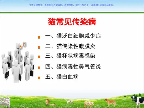 猫常见传染病课件