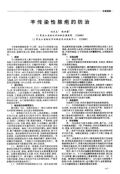 羊传染性脓疱的防治
