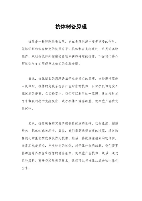 抗体制备原理