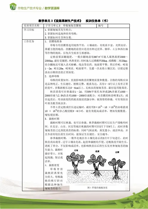 设施果树生产草莓实训任务单