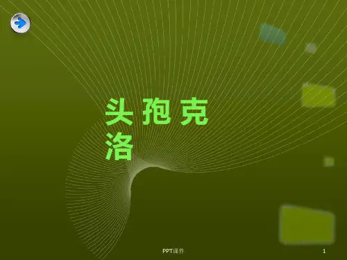 头孢克洛产品介绍  ppt课件