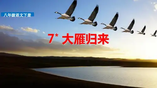 部编版八年级下册语文《大雁归来》教学说课课件