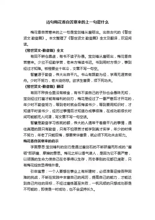 诗句梅花香自苦寒来的上一句是什么
