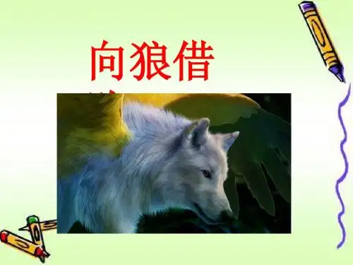 《向狼借路》课件2