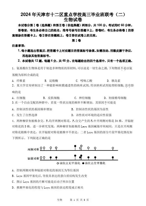 2024 年天津市十二区重点学校高三毕业班联考(二)生物试卷+答案