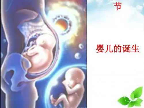 婴儿的诞生课件PPT 1