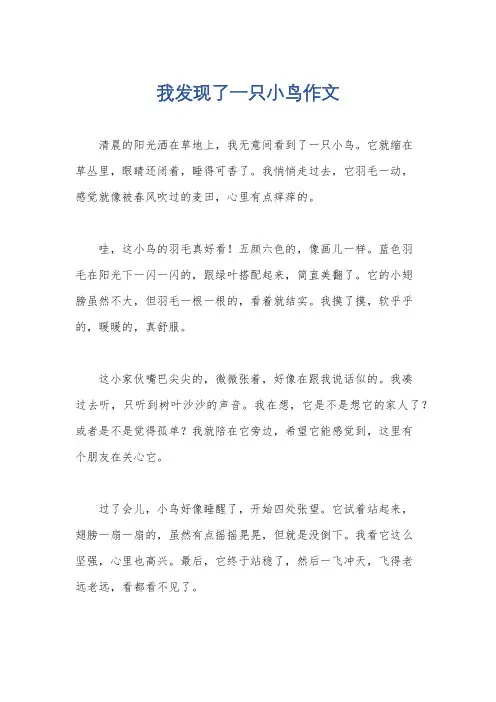 我发现了一只小鸟作文