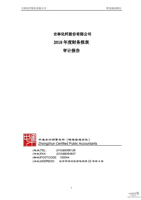 2018年度财务报表审计报告