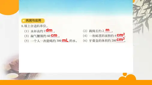 北师大版六年数学下册《图形与测量(二)》 (共11张PPT)