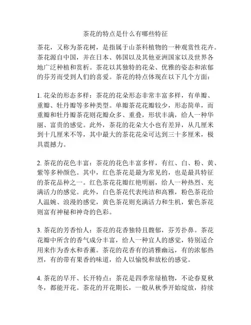 茶花的特点是什么有哪些特征
