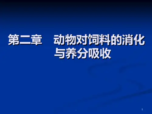 动物对饲料的消化与养分吸收PPT课件