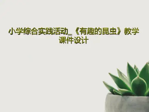 小学综合实践活动_《有趣的昆虫》教学课件设计PPT共35页