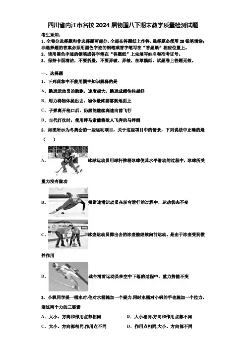 四川省内江市名校2024届物理八下期末教学质量检测试题含解析